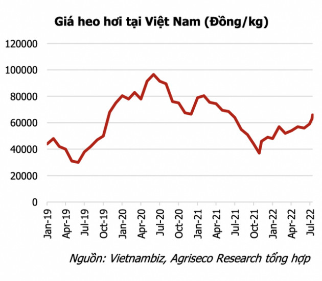 Giá cả hàng hoá đảo chiều, cổ phiếu Thép, Dầu khí, Phân bón, Chăn nuôi sẽ diễn biến ra sao trong nửa cuối năm? - Ảnh 3.