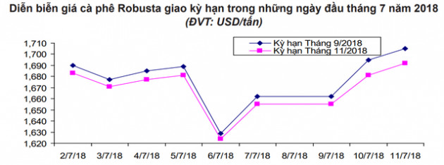 Giá cà phê khó tăng mạnh - Ảnh 2.