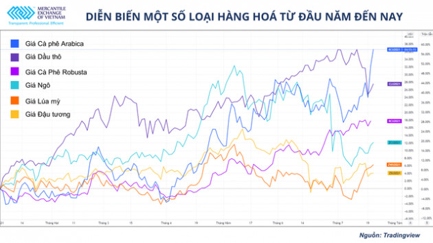 Giá cà phê thế giới tăng mạnh có là cơ hội cho ngành xuất khẩu cà phê Việt Nam?