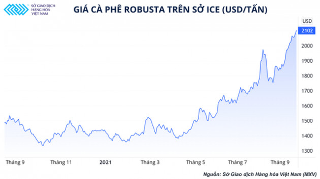 Giá của ly cà phê đã bị chi phối bởi thị trường phái sinh như thế nào?