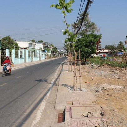 Giá đất Bình Chánh, Nhà Bè, Củ Chi, Hóc Môn, Cần Giờ biến động thế nào so với trước Tết Nguyên đán?