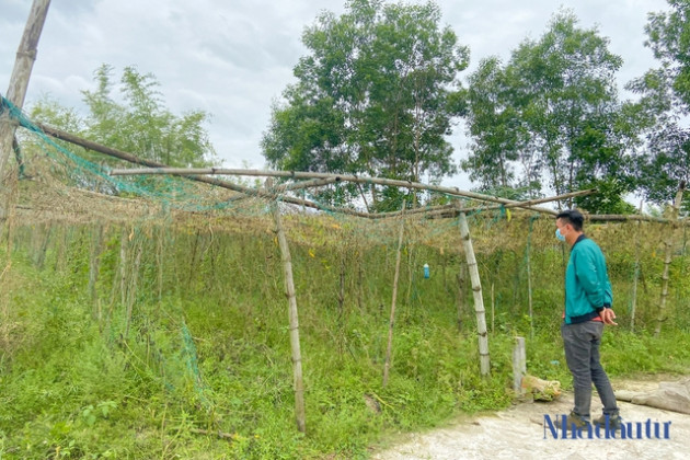 Giá đất nhảy vọt, nhiều địa phương công khai quy hoạch để chống sốt ảo - Ảnh 2.