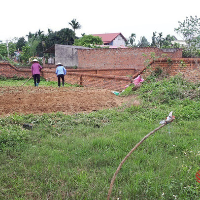 Giá đất tăng cao, nhà đầu tư 'tháo chạy' khỏi thành phố, vác tiền về quê đầu tư đất
