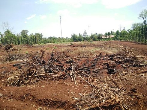 Giá đất vùng ven TP.Buôn Ma Thuột tăng nóng, bẫy giăng vợt người mua - Ảnh 1.