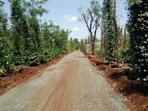 Giá đất vùng ven TP.Buôn Ma Thuột tăng nóng, bẫy giăng vợt người mua - Ảnh 4.