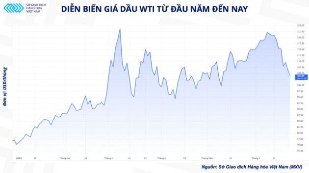 Giá dầu có hạ nhiệt trước nguy cơ suy thoái kinh tế? - Ảnh 1.