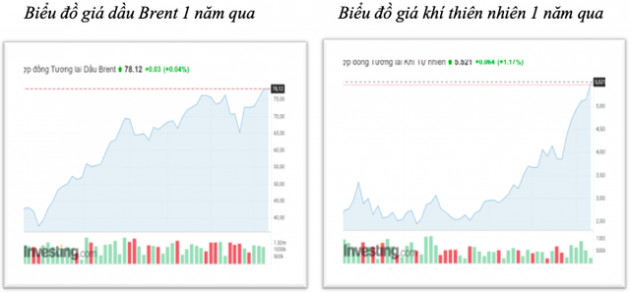 Giá dầu tăng cao và dự báo chạm mức 100 USD/thùng đến cuối năm 2021: Áp lực bị ăn mòn lợi nhuận của doanh nghiệp sản xuất phân bón - Ảnh 1.