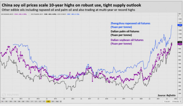 Giá dầu thực vật thế giới tăng mạnh, dầu đậu tương Trung Quốc cao kỷ lục 10 năm - Ảnh 2.