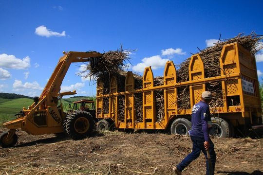 Giá đường lên cao nhất 4 năm, dự kiến tiếp tục tăng trong vài tháng tới - Ảnh 1.