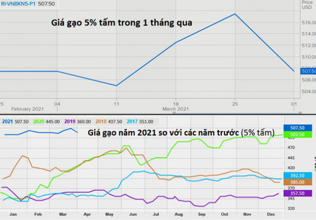 Giá gạo Việt Nam giảm, gạo Thái Lan thấp nhất hơn 4 tháng để cạnh tranh với Ấn Độ - Ảnh 1.