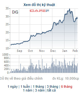 Giá không đạt kỳ vọng, ông Nguyễn Thiện Tuấn chỉ mua được 4 triệu cổ phiếu DIG - Ảnh 1.