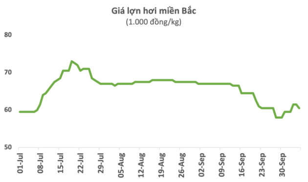 Giá lợn hạ nhiệt, cổ phiếu Dabaco giảm gần 50% từ đỉnh, vốn hoá mất 4.400 tỷ đồng sau nửa năm - Ảnh 3.