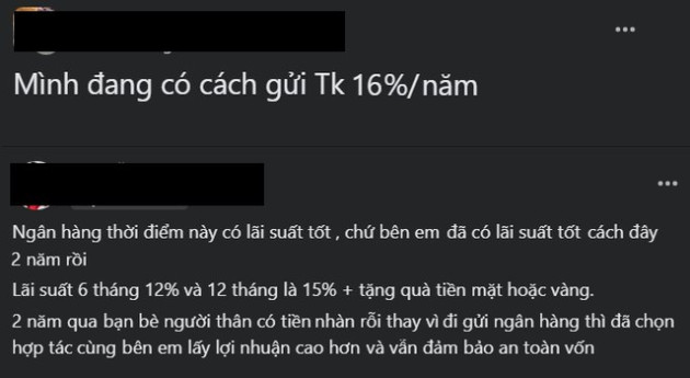 Giả mạo ngân hàng dụ dỗ người dân gửi tiền với lãi suất lên đến hơn 16%/năm - Ảnh 1.