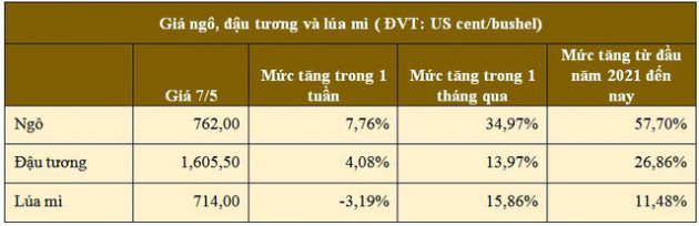 Giá ngô cao nhất hơn 8 năm sau 6 tuần tăng liên tiếp là thủ phạm gây bão giá thức ăn chăn nuôi - Ảnh 3.