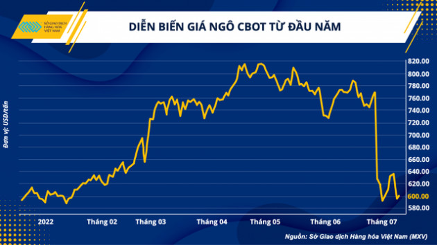 Giá nguyên liệu hạ nhiệt, ngành chăn nuôi sắp bước vào giai đoạn 'dễ thở' hơn