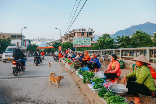 Giá ‘nữ hoàng của các loại hạt tăng chóng mặt, huyện vùng núi tăng diện tích lên 1.000 lần - Ảnh 11.