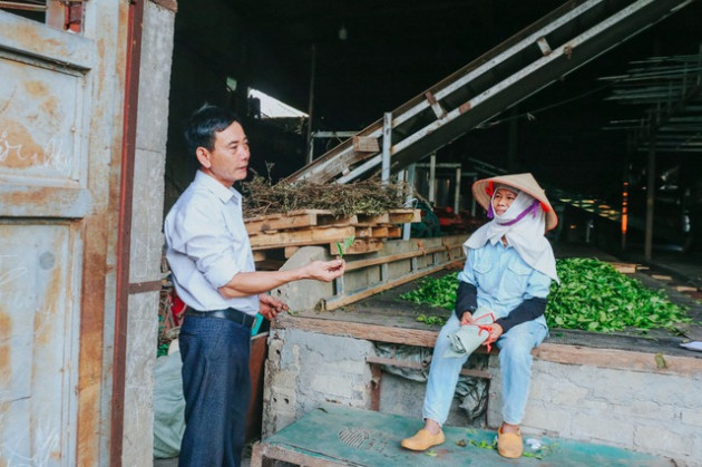 Giá ‘nữ hoàng của các loại hạt tăng chóng mặt, huyện vùng núi tăng diện tích lên 1.000 lần - Ảnh 9.