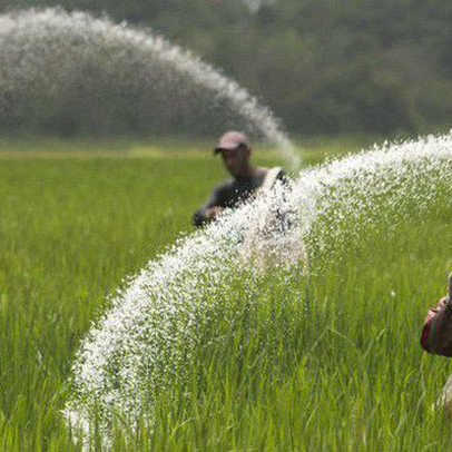 Giá phân bón nhảy vọt trước tình trạng khan hiếm gia tăng, cổ phiếu ngành DCM, DPM, LAS tăng "phi mã"