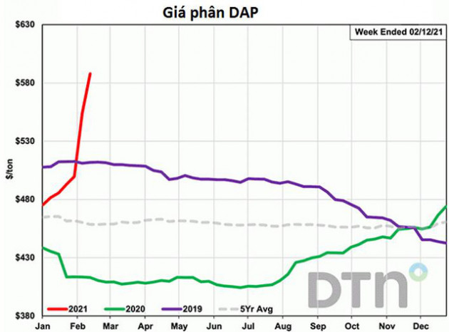 Giá phân bón thế giới tiếp tục tăng sốc ngay đầu năm - Ảnh 2.