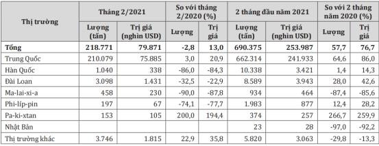 Giá sắn tươi lập kỷ lục, nông dân trồng sắn lợi nhuận cao - Ảnh 2.