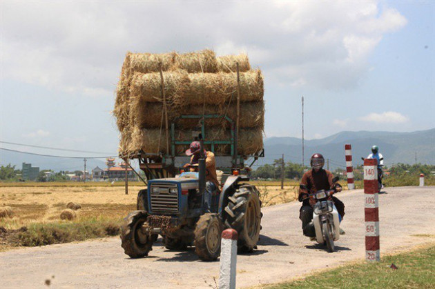 Giá tăng cao, 1 sào rơm = 80kg lúa! - Ảnh 2.