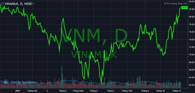 Giá trị vốn hóa tăng hàng tỷ USD sau pha đi ngược thị trường, điều gì làm nên sức hấp dẫn của cổ phiếu Vinamilk (VNM)? - Ảnh 1.