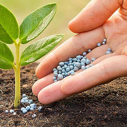 Giá urê phục hồi, "cửa sáng" cho cổ phiếu phân bón?