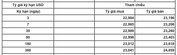 Giá USD tăng vọt trên thị trường tự do - Ảnh 2.