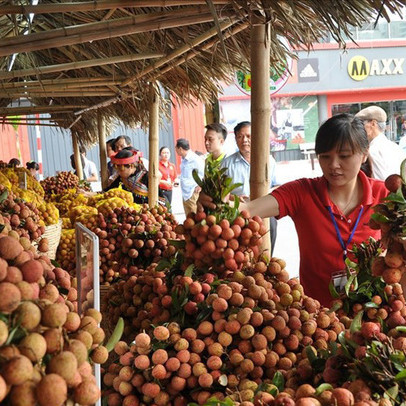 Giá vải thiều giảm từng ngày, sức mua chậm