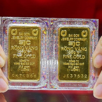 Giá vàng trong nước hôm nay (14/1) giảm mạnh