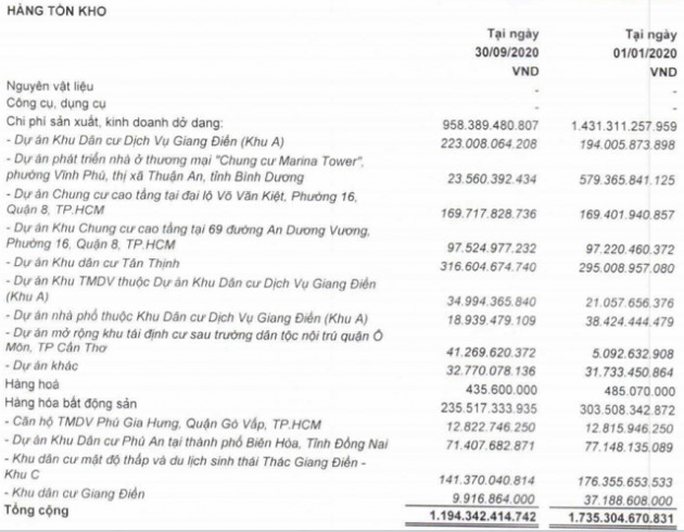 Giá vốn và chi phí tăng cao, LDG lãi quý III giảm 93% còn 10 tỷ đồng - Ảnh 2.