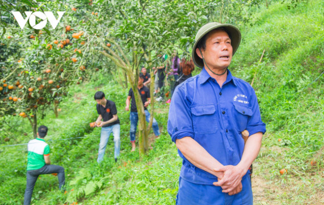 Giải cứu cam sành, phát miễn phí cho bệnh nhân tại Hà Nội - Ảnh 2.