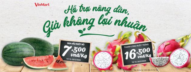 Giải cứu tôm hùm giá 495.000 đồng/kg: 2 ngày Vinmart tiêu thụ được 750kg, đây là danh sách siêu thị người dân có thể mua tôm hùm tươi sống - Ảnh 5.