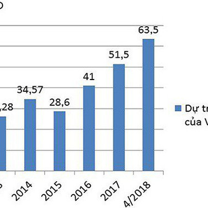 Giải mã “ẩn số” dự trữ ngoại hối Việt Nam