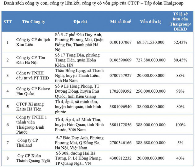 Giải mã đà tăng giá hơn 300% của cổ phiếu Thaiholdings trong tháng 12 - Ảnh 1.