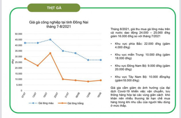 Giải mã nguyên do thực phẩm tăng giá tới 10 lần trong đỉnh dịch: Đứt gãy chuỗi cung ứng, nhiều người bán hàng trục lợi và không ít “tân binh” non kinh nghiệm - Ảnh 5.