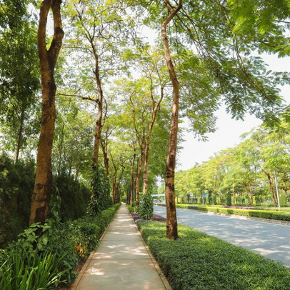 Giải mã sức hút tại The Zen Residence – Gamuda Gardens