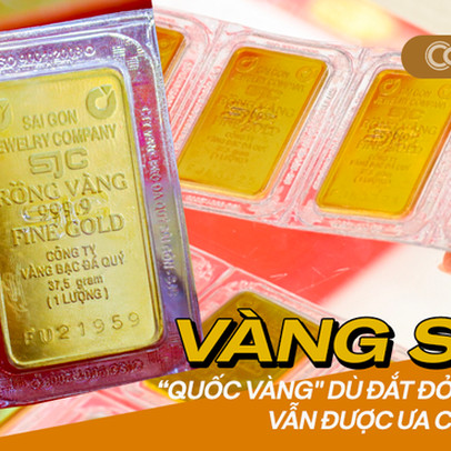 Giải ngố ngày giá vàng trong nước lập kỷ lục: Tại sao giá vàng miếng 24K của SJC luôn đắt hơn vàng các hãng khác cả chục triệu đồng mỗi lượng?