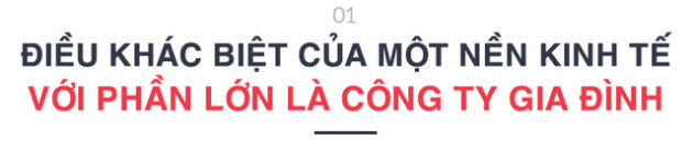 Giám đốc Economica Việt Nam lý giải chuyện công ty gia đình chống chịu tốt với đại dịch Covid-19 - Ảnh 1.