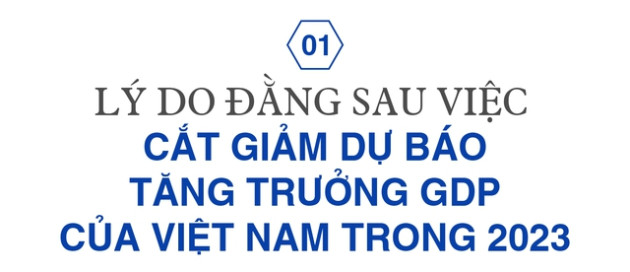 Giám đốc quốc gia Ngân hàng ADB: Thời điểm này, chúng tôi không có bất kỳ lo ngại nào về sự an toàn của hệ thống tài chính ở Việt Nam - Ảnh 1.