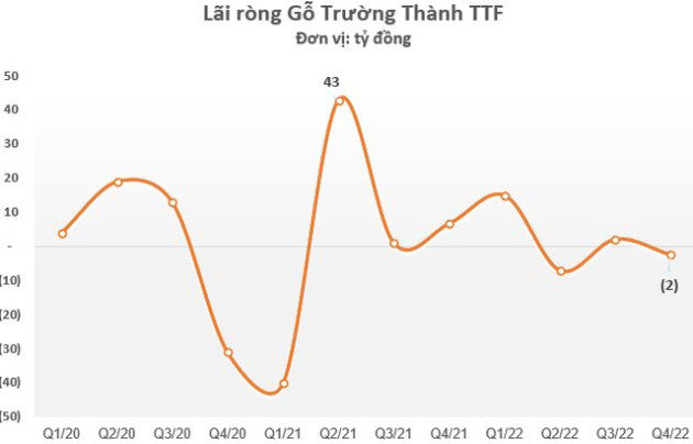 Giảm lỗ trong quý 4, Gỗ Trường Thành (TTF) báo lãi ròng 11 tỷ đồng cả năm - Ảnh 2.