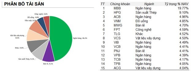 Giảm mạnh tỷ trọng cổ phiếu HPG, quỹ đầu tư của SGI Capital vẫn ghi nhận hiệu suất âm tháng thứ 2 liên tiếp - Ảnh 1.