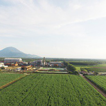 Giãn ATIGA - cú hích thay đổi cục diện ngành mía đường?