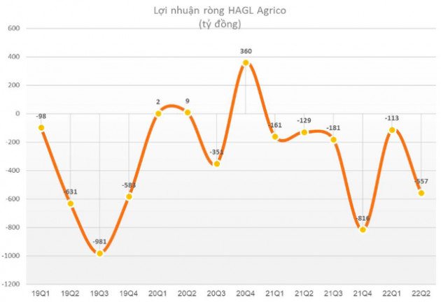 Gian nan khắc phục 4.000 tỷ lỗ lũy kế của HAGL Agrico: “Sổ đỏ” tại Lào và Campuchia chưa lấy về được nên khó triển khai dự án - Ảnh 1.