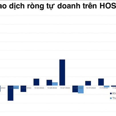 Giao dịch hướng đến hoạt động cơ cấu quỹ ETF nội, tự doanh mua ròng đột biến