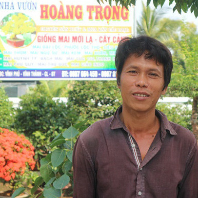 Giàu nhờ trồng mai tết