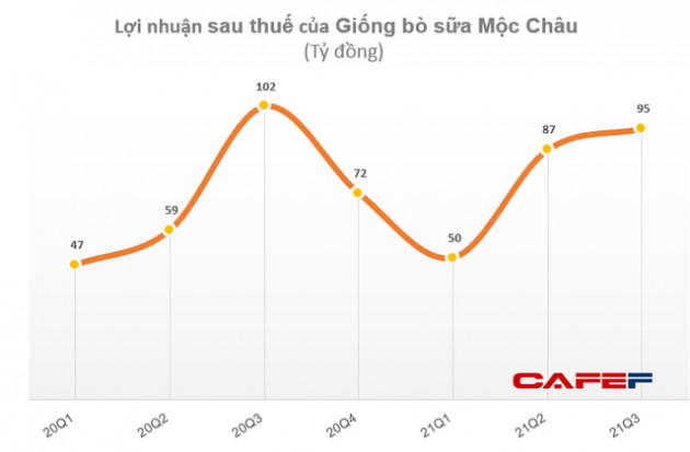 Giống bò sữa Mộc Châu (MCM) chi 110 tỷ đồng tạm ứng cổ tức đợt 1/2021 - Ảnh 1.