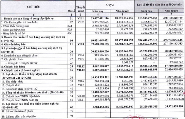 Giống cây trồng Miền Nam (SSC) báo lãi quý 3/2021 giảm 42%, còn hơn 8 tỷ đồng - Ảnh 1.