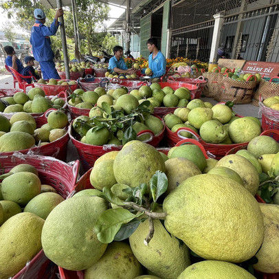 Gỡ khó để nông sản ĐBSCL ‘cất cánh’ vươn xa