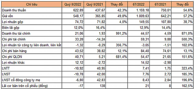 Gỗ Trường Thành lỗ quý II sau 4 quý lãi liên tiếp - Ảnh 2.